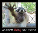 MwGDJnqJVPCaG3oa9GcNQz56Y1wG7NxJ3gtg3QGILg