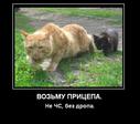 bNmmdmIaJTVKyC75F4EigZxaZtNacc2HQHxWFOPvg