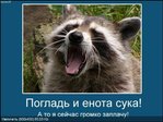 OJaFp6cCnxiiGPYJRhLzwVMR3XC8pGG8BEgYoxg3KCA