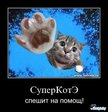 7Xn8cIEjR0Bi3sc8pQc7wZiwersrhnCDJRcDpIpOMA