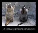 PcCLg66tDfVnGBzMyMwv4AwyTmoPNk7VPSgP9fGS1Log