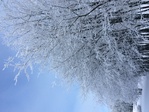 IMG_1844