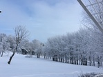 IMG_1840