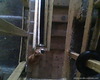IMG0040A