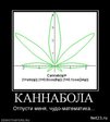 1264039891_81682_kannabola