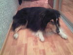 Photo-0045