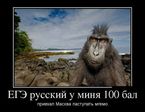 getImageCAFDUR9U