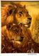 1227632375_getimage