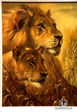 1227632375_getimage