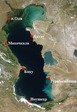 Орел