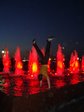  9 мая 2009 года поклонная гора  я стою на  руках после хуй знает скольки литров водки