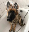Профилька