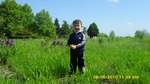 SAM_0649