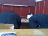 Пары))) Я - слева))) Фотограф неизвестен)))