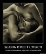 x_9514eabf