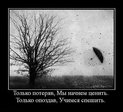 x_a7d63a87