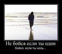 x_833196db