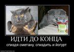 x_9487a553