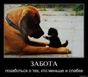 x_1176e4aa