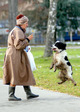 125_givotnie_64