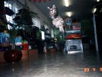 054_givotnie_37