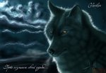x_bd9ae322