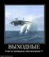 832014_vyihodnyie.thumbnail[1]