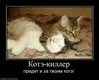 прикол 3