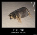 x_20965bbf