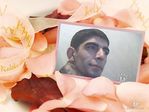 WCRMPCAQZTQ2RCAHJ6M06CALKK11ECA2I18X7CA22RK7TCAGPXRDGCA0X3FF6CADM9BY9CAMR681UCA8FHFSRCAMQJVKSCAX4PXSKCAZN2F4SCAHG0PK5CA1G69G3CAYIRNXYCAYK9S3KCACY4OLQ