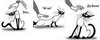 kote