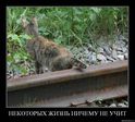 Жизнеутверждающе