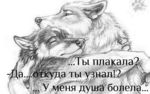 getImage