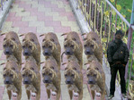 I am  and Tilla 