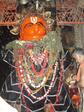 puri011