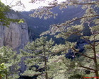 DSC00074
