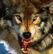 foto_25290[1]