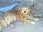 100520137619