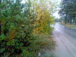 09