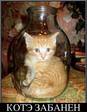 котэ
