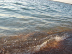DSC00229