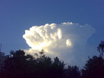 03062010332
