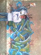 IMAG0035
