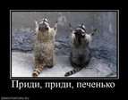 x_53a6a295