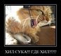 m_c864cba1