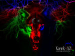 20071030_082441_abstracbozqurdc