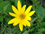 P1040236