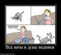 924104_vse-kotyi-v-dushe-podonki