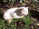 trumb_30115635