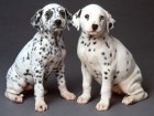 trumb_19135045